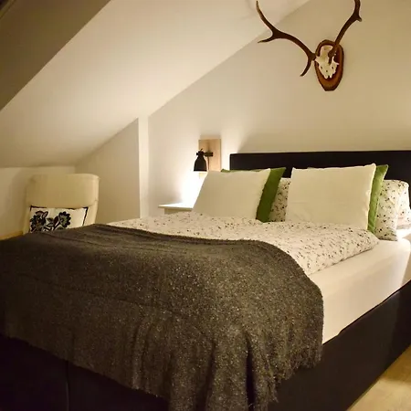 407 Apartment Gosau
